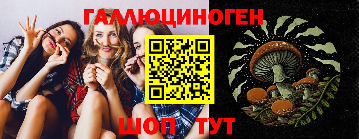 Касимов  Псилоцибиновые грибы Psilocybine cubensis  Вход с VPN 