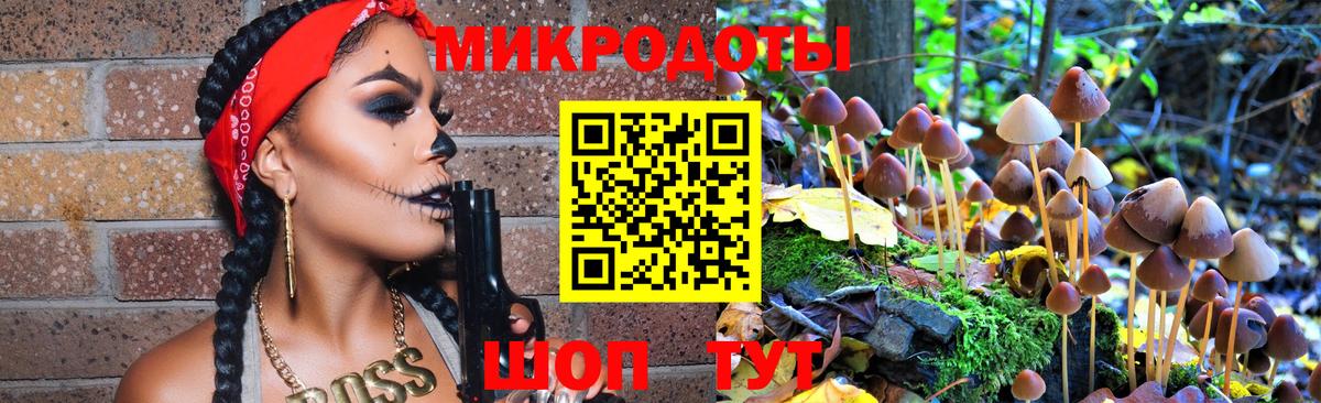 Псилоцибиновые грибы Psilocybine cubensis Касимов